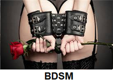 bdsm, spanking sexnoveller