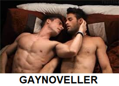 Gay, bög, homo, sexnoveller, killsex
